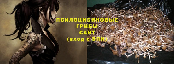 ECSTASY Аркадак