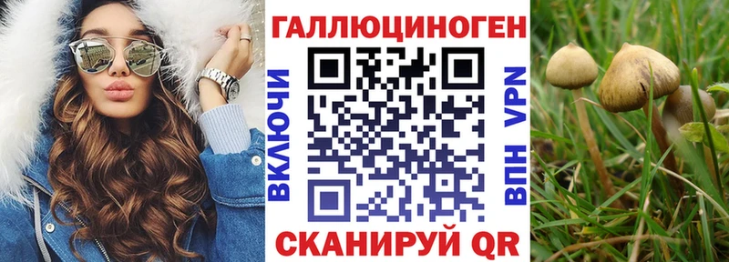 Галлюциногенные грибы Magic Shrooms  Купить  Любим 